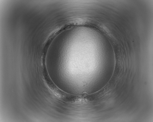 X0000067350543200604071428