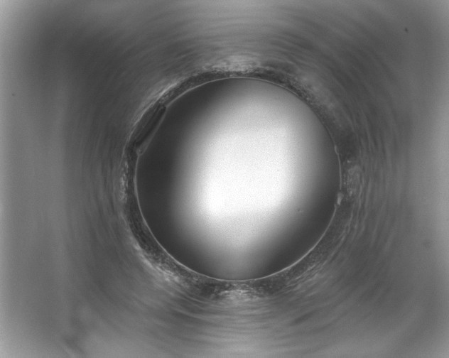 X0000067350544200604071428