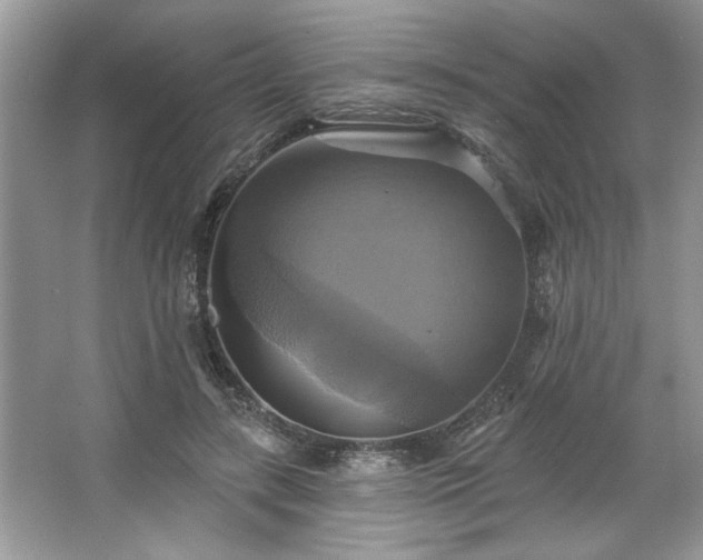 X0000067350547200604071428