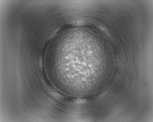 X0000067350549200604071428