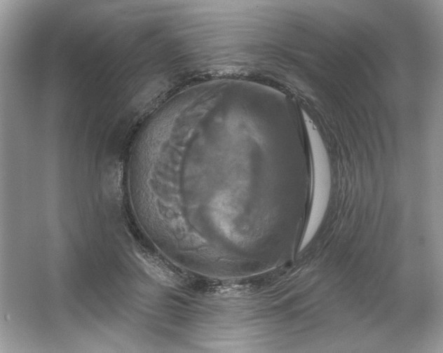 X0000067350550200604071428