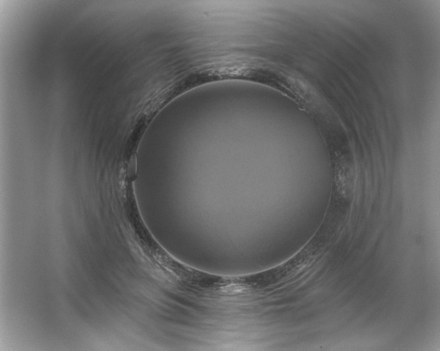 X0000067350551200604071428