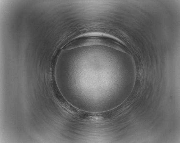 X0000067350552200604071428