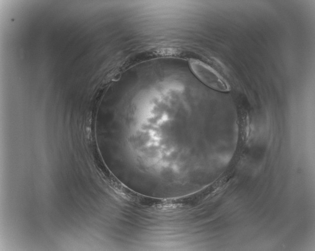 X0000067350553200604071428