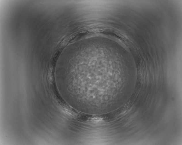 X0000067350554200604071428