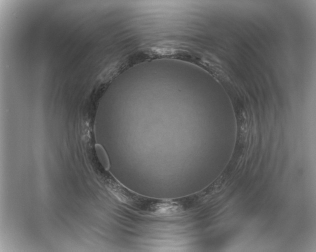 X0000067350555200604071428