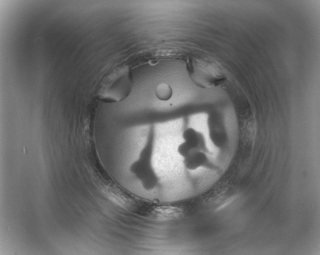 X0000067350557200604071428