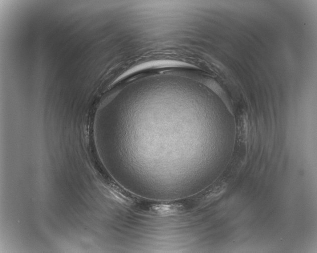 X0000067350558200604071428