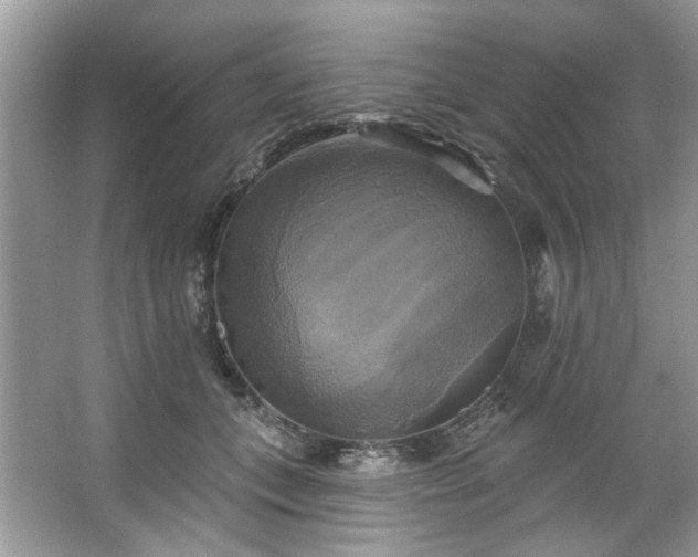 X0000067350559200604071428