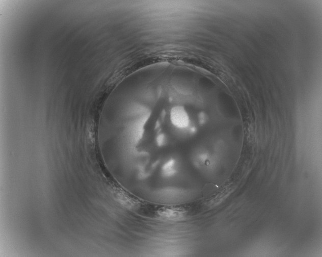 X0000067350561200604071428