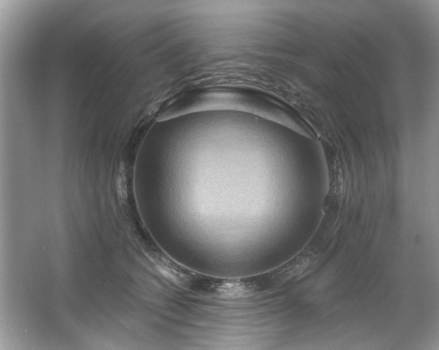 X0000067350562200604071428