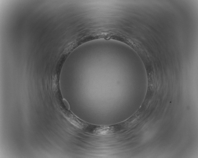 X0000067350563200604071428