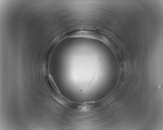 X0000067350564200604071428