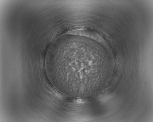 X0000067350565200604071428