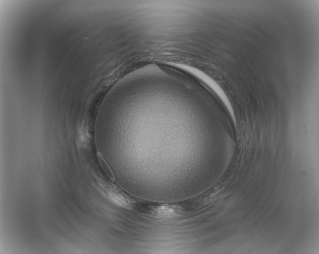 X0000067350566200604071428