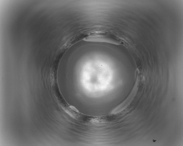 X0000067350568200604071428