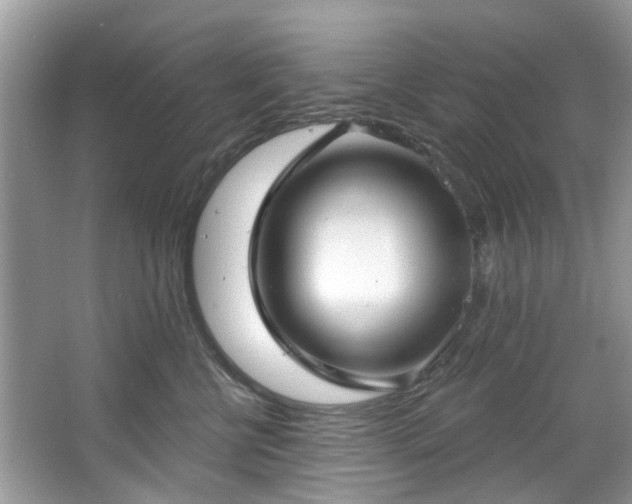 X0000067350570200604071428