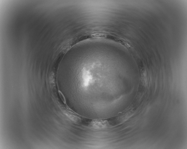 X0000067350571200604071428