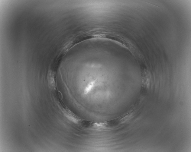 X0000067350573200604071428