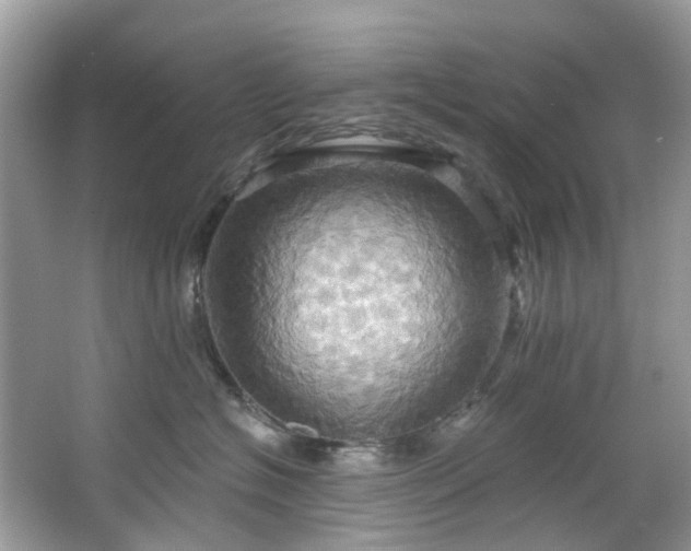 X0000067350574200604071428