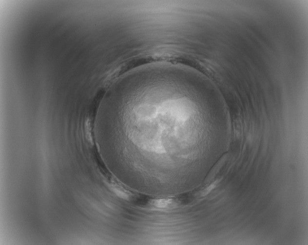 X0000067350575200604071428