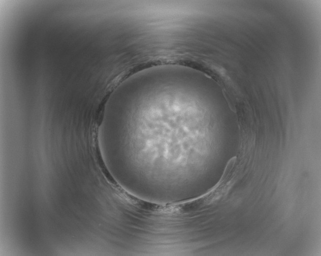 X0000067350576200604071429