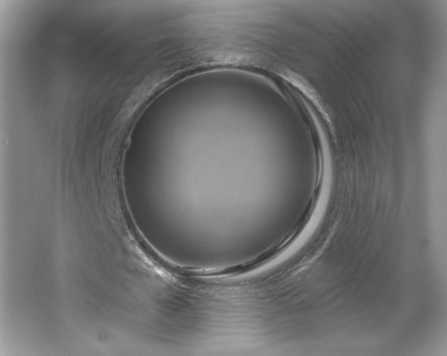 X0000067350577200604071428