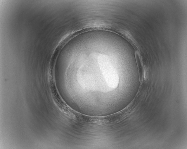 X0000067350579200604071428