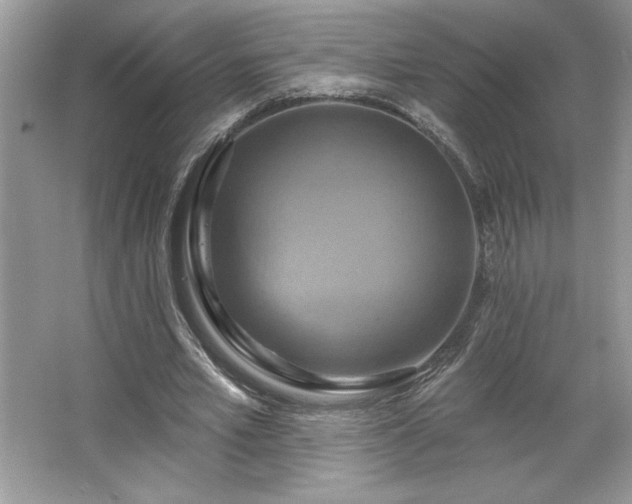 X0000067350581200604071428