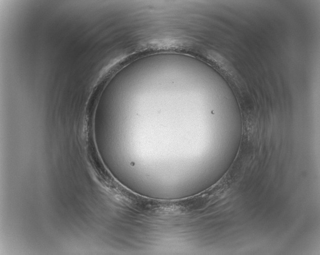 X0000067350583200604071428