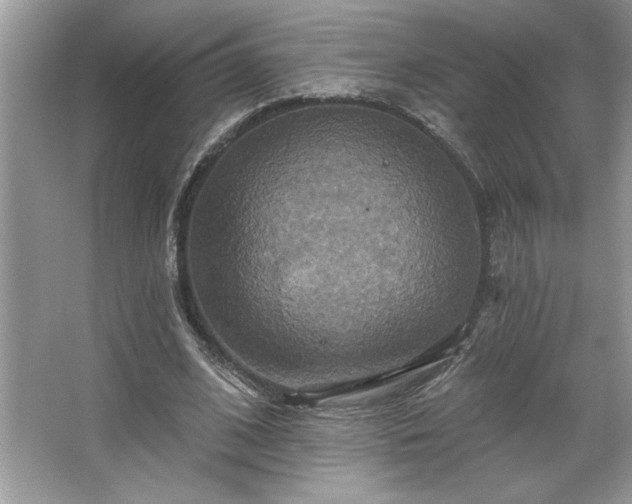 X0000067350584200604071428