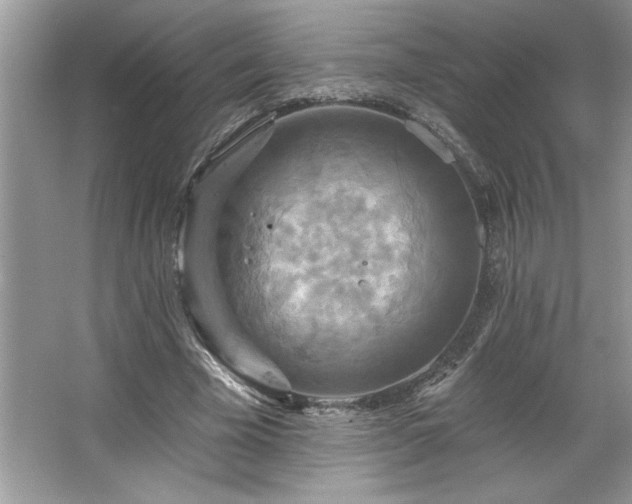 X0000067350585200604071428