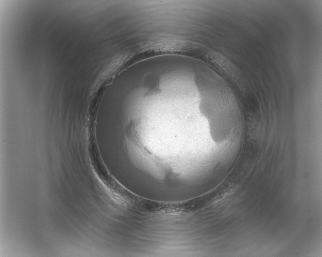 X0000067350586200604071428