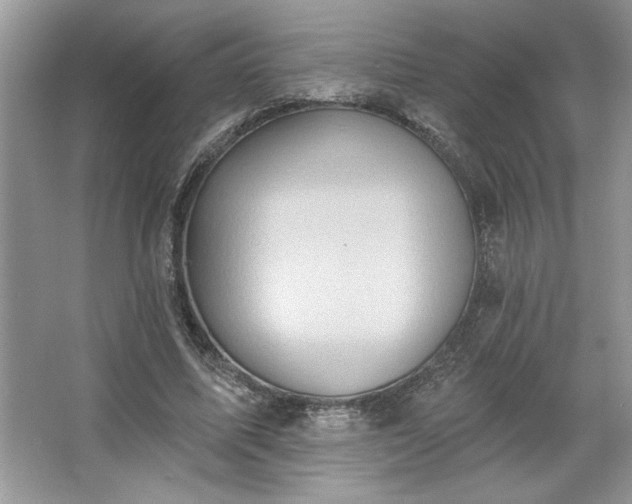 X0000067350587200604071428