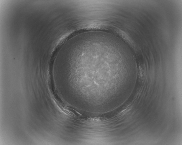 X0000067350588200604071428