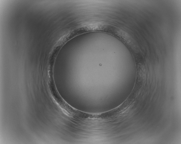 X0000067350590200604071427