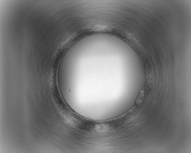 X0000067350591200604071427