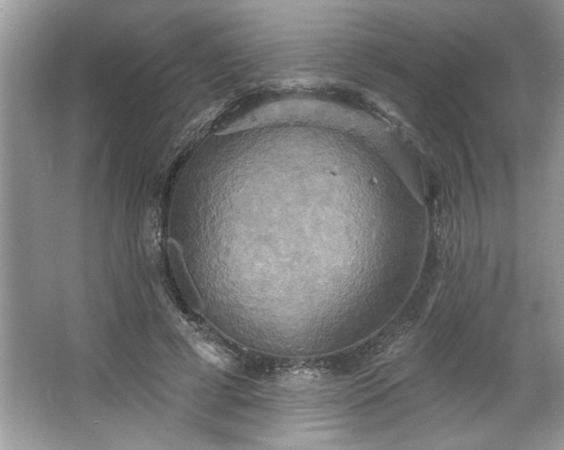 X0000067350593200604071427