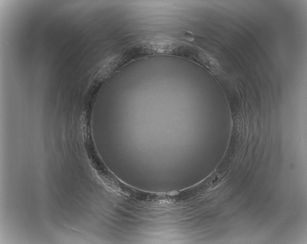 X0000067350594200604071427