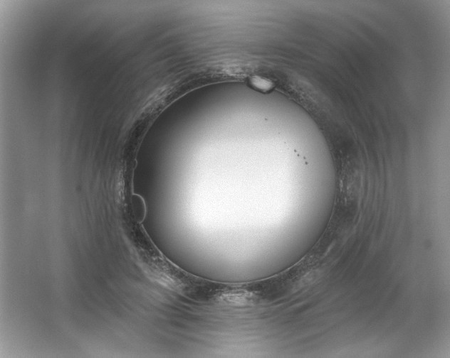 X0000067350595200604071427