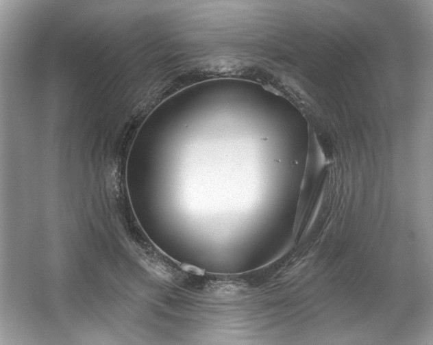 X0000067350597200604071427