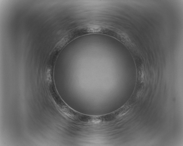 X0000067350598200604071427