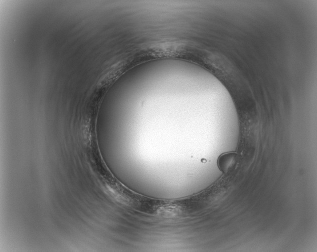 X0000067350599200604071427