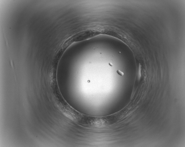 X0000067350600200604071427