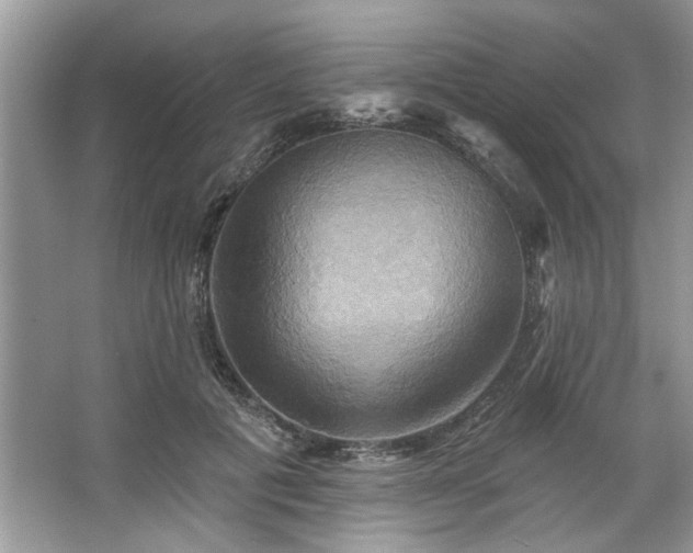 X0000067350601200604071427