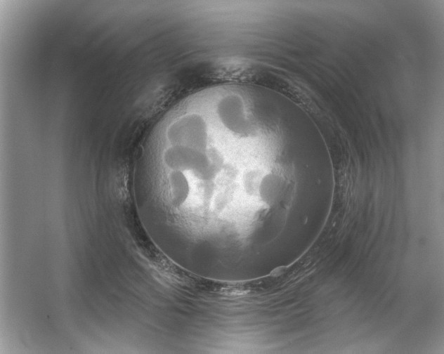 X0000067350602200604071427