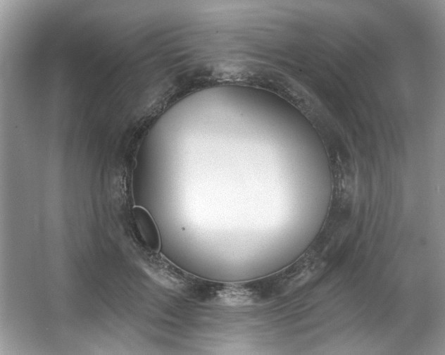 X0000067350603200604071427