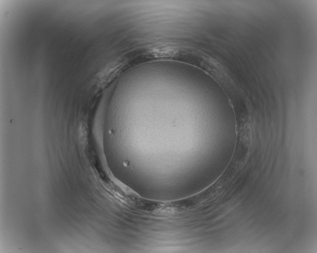 X0000067350604200604071427