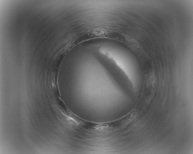 X0000067350606200604071427