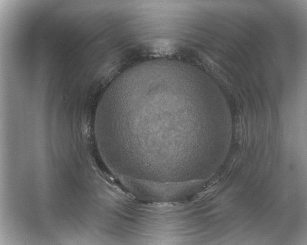 X0000067350608200604071427